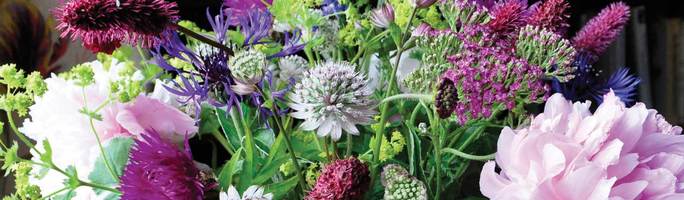 July-flowers